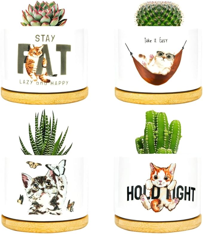 4 Pack Cute Planter Pots with Drainage Hole, Cat Plant Pots for Indoor/Outdoor Plants, Cactus and Succulents Pots Gift for Women