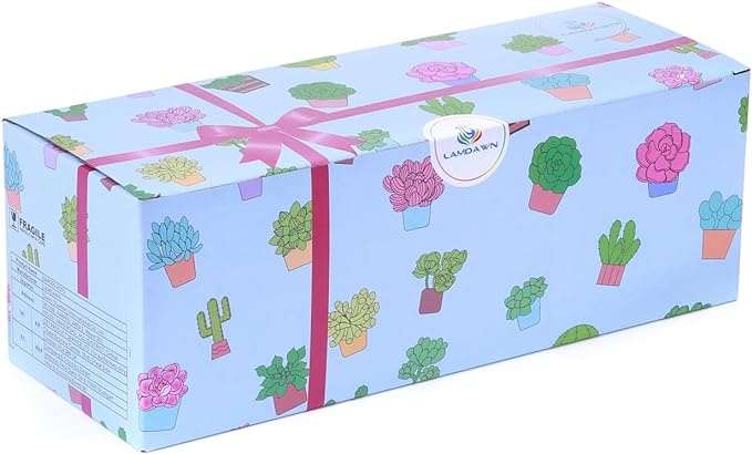 Cute Ceramic Succulent Garden Pots, Planter with Drainage and Attached Saucer, Set of 5 -Plants Not Included