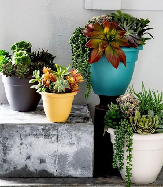 8 Inch Caribbean Planter - Lightweight Indoor Outdoor Plastic Plant Pot for Herbs and Flowers, Honey