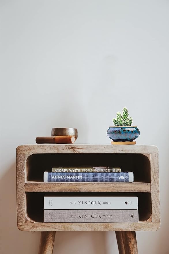 Cute Ceramic Succulent Garden Pots, Planter with Drainage and Attached Saucer, Set of 5 -Plants Not Included