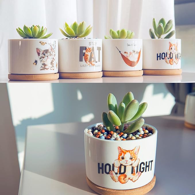 4 Pack Cute Planter Pots with Drainage Hole, Cat Plant Pots for Indoor/Outdoor Plants, Cactus and Succulents Pots Gift for Women