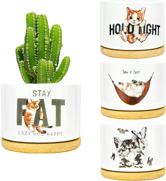 4 Pack Cute Planter Pots with Drainage Hole, Cat Plant Pots for Indoor/Outdoor Plants, Cactus and Succulents Pots Gift for Women