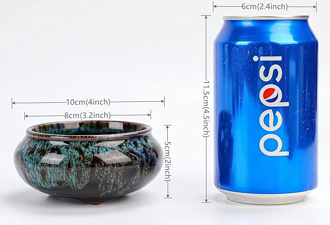 Cute Ceramic Succulent Garden Pots, Planter with Drainage and Attached Saucer, Set of 5 -Plants Not Included