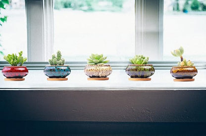 Cute Ceramic Succulent Garden Pots, Planter with Drainage and Attached Saucer, Set of 5 -Plants Not Included
