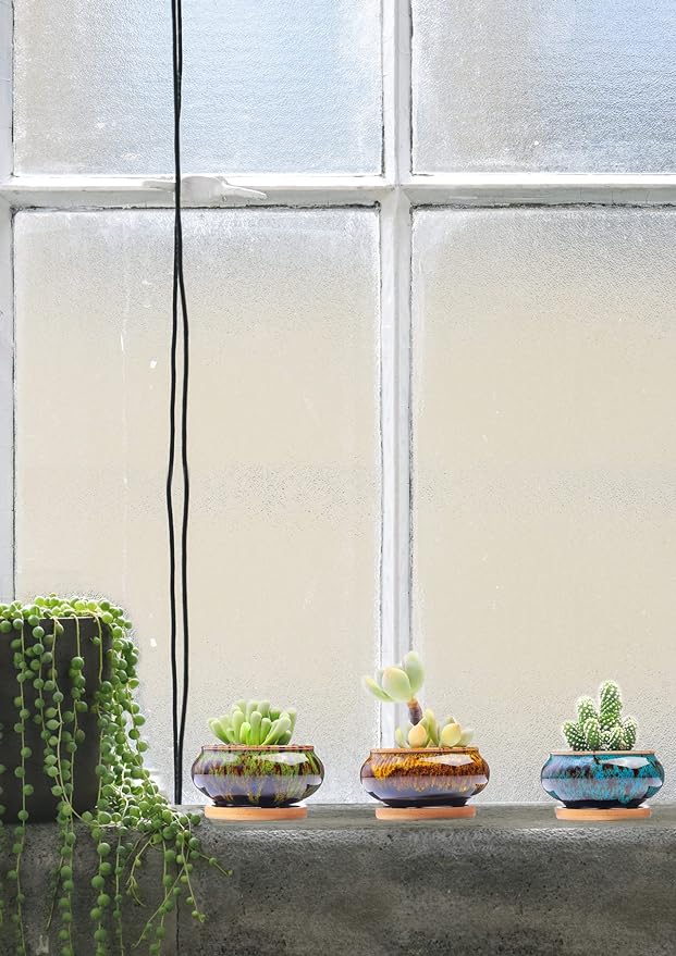 Cute Ceramic Succulent Garden Pots, Planter with Drainage and Attached Saucer, Set of 5 -Plants Not Included