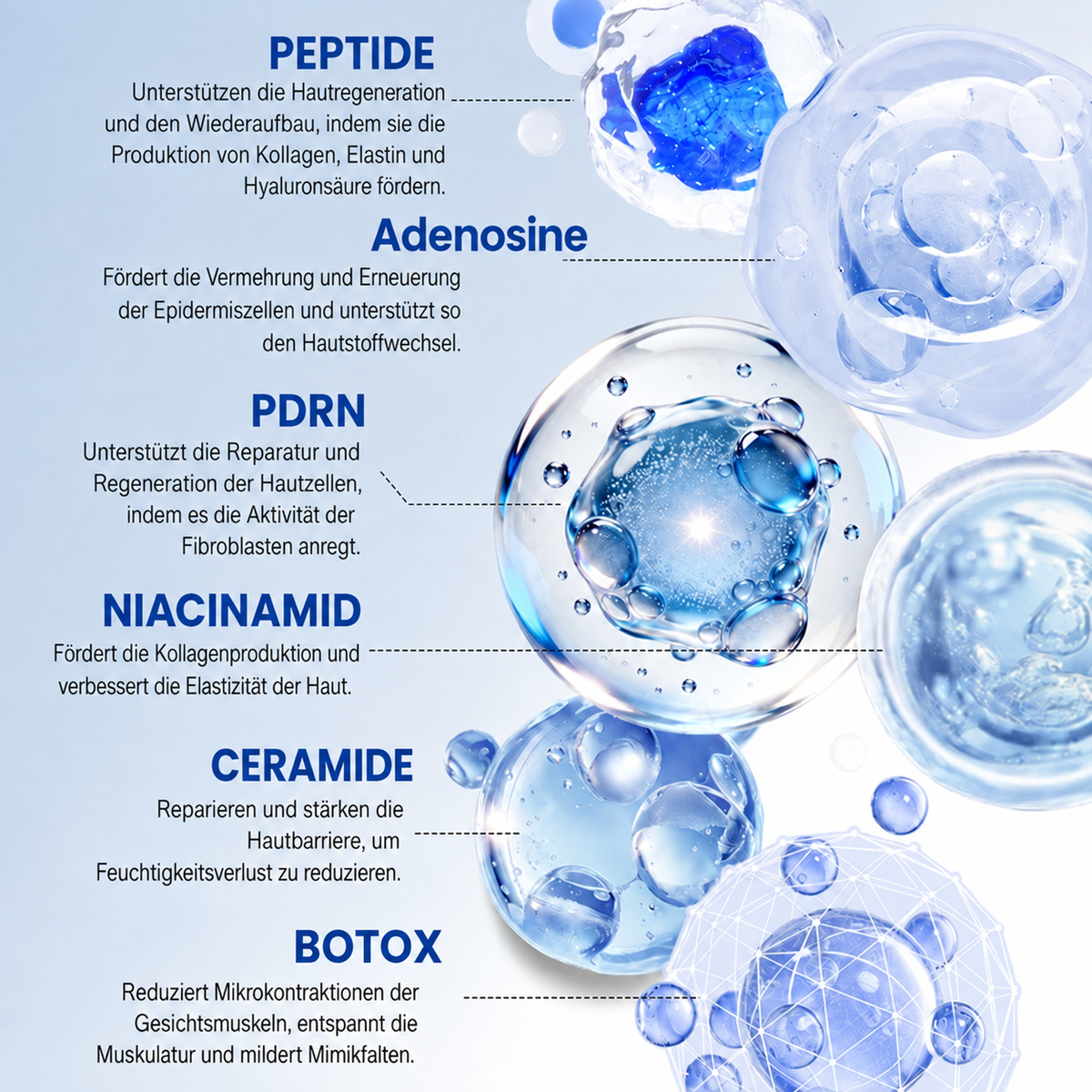 𝐍𝐚𝐭𝐫𝐚𝐯𝐨𝐫® PDRN Anti-Faltenpflege – Liftende Straffungscreme für ein glatteres Hautbild